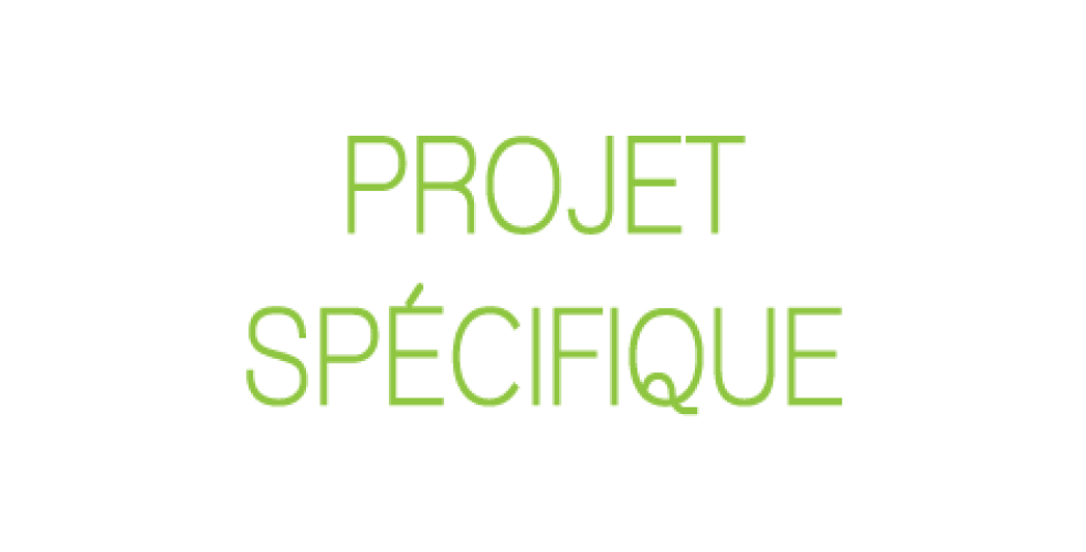 Projet spécifique